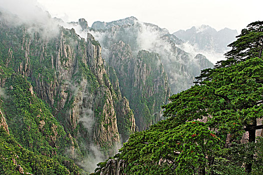 幸福彼岸迷幻移动商城C1B8D97C5-18975